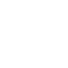 revenue icon